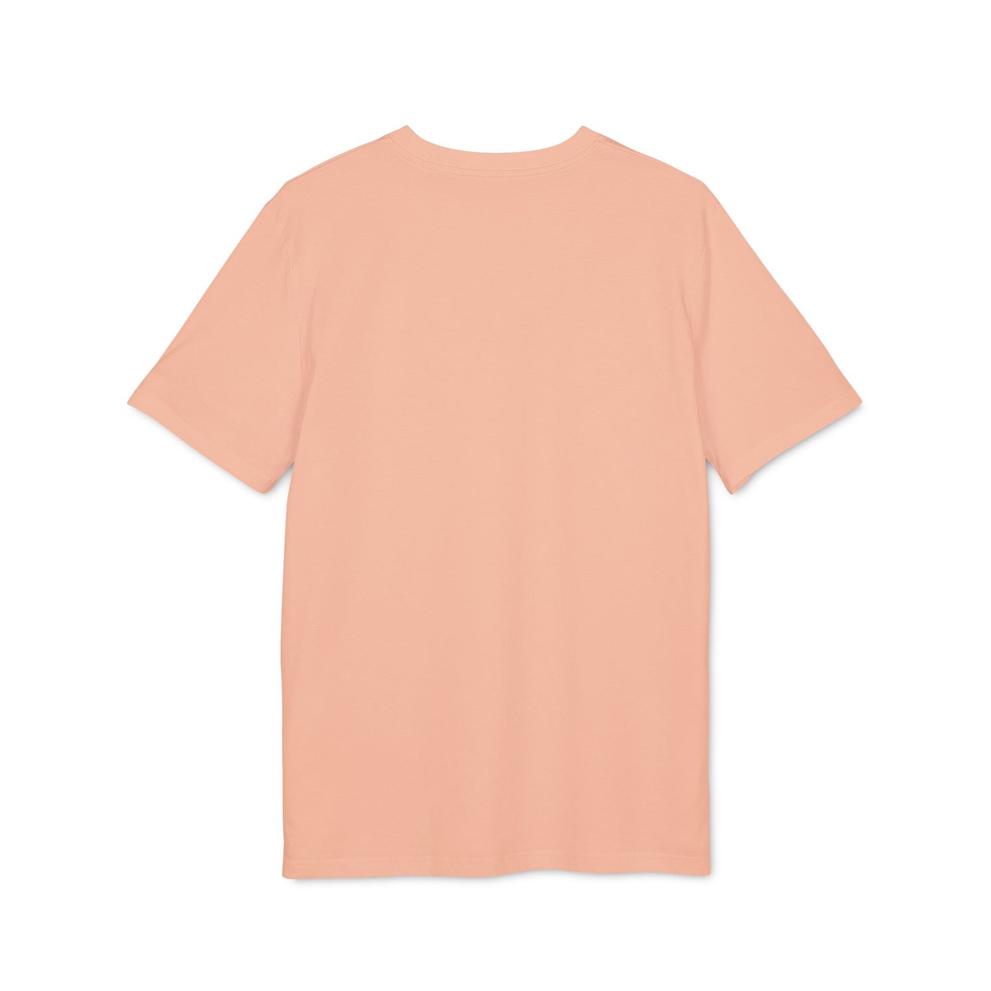 Cisco Certified CCNA - Unisex T-Shirt for Tech Enthusiasts