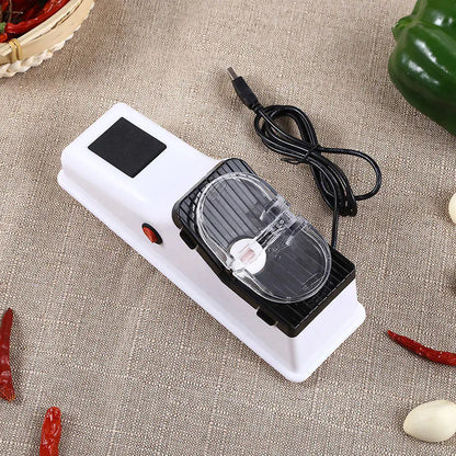 Portable Electric Knife Sharpener for Kitchen Use