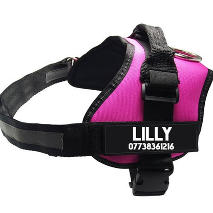 Pet Chest Harness  Dog Leash  Pet Supplies