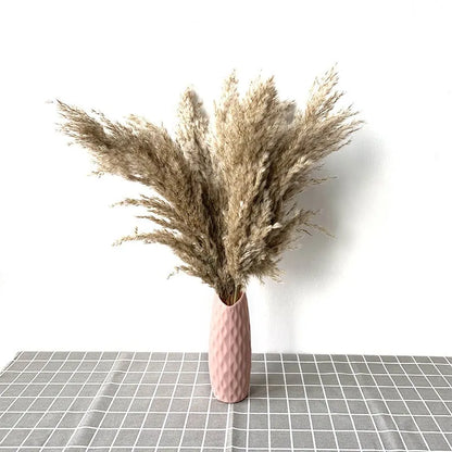 Dried Pampas Grass Home Decor Plant