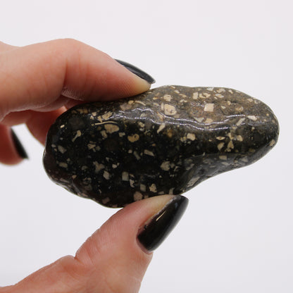 6x Large African Tumble Stones - Guinea Fowl Large