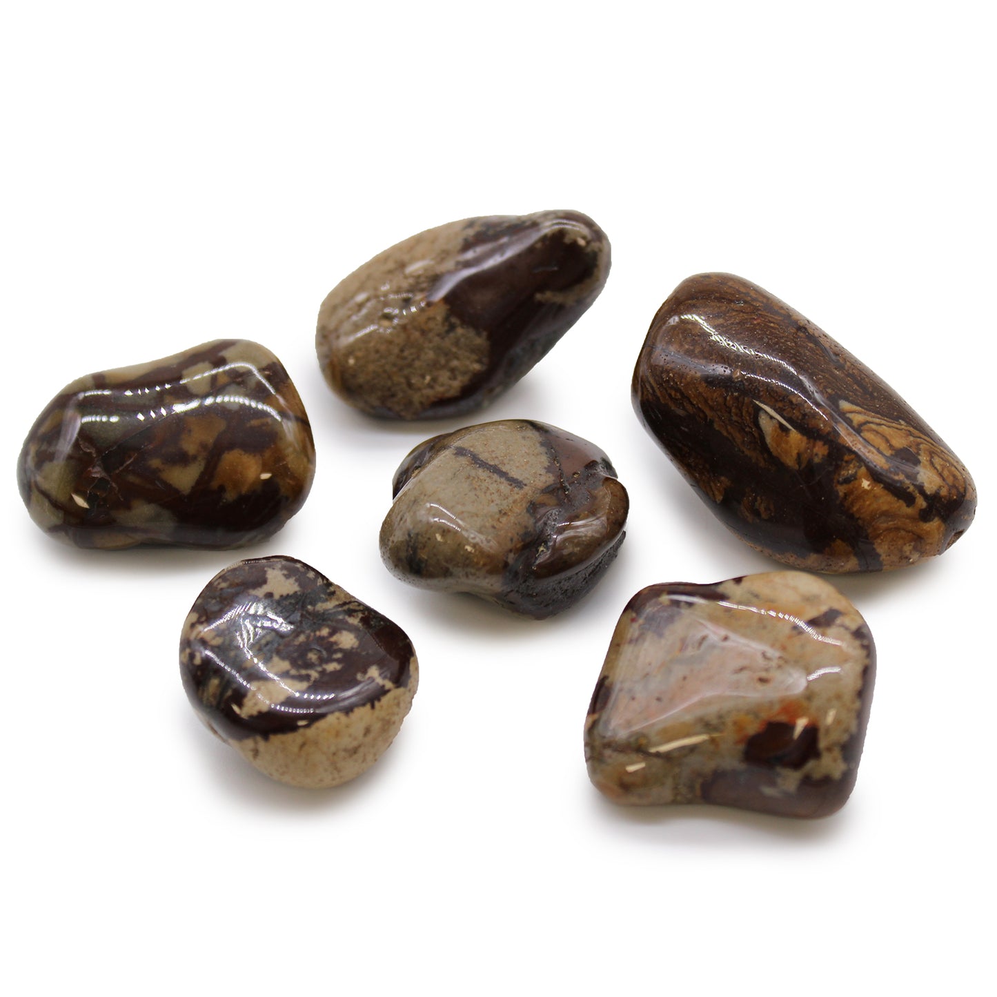 6x Large African Tumble Stones - Jasper Nguni