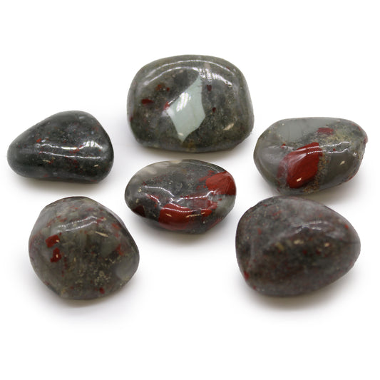 6x Large African Tumble Stones - Bloodstone - Seftonite