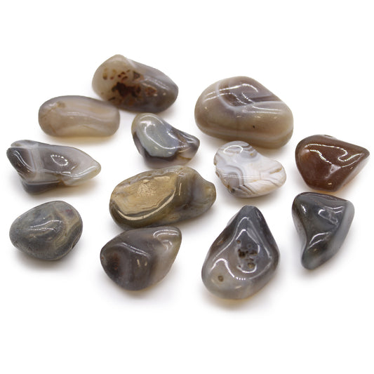 12x Medium African Tumble Stones - Grey Agate - Botswana (SHOPIFI)