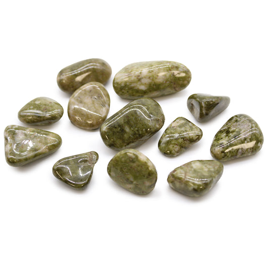 12x Medium African Tumble Stones - Epidote Snowflake (SHOPIFI)