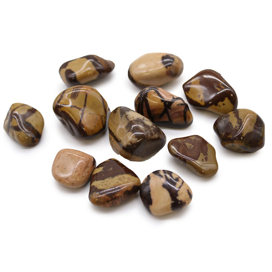 12x Medium African Tumble Stones - Jasper Nguni (SHOPIFI)