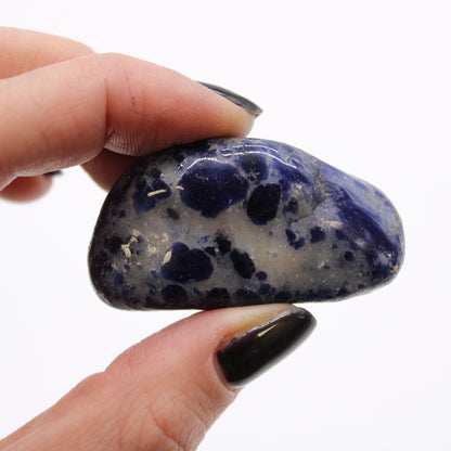 12x Medium African Tumble Stones - Sodalite - Pure Blue (SHOPIFI)