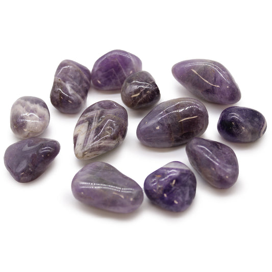 12x Medium African Tumble Stones - Amethyst (SHOPIFI)