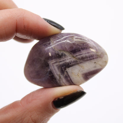 12x Medium African Tumble Stones - Amethyst (SHOPIFI)