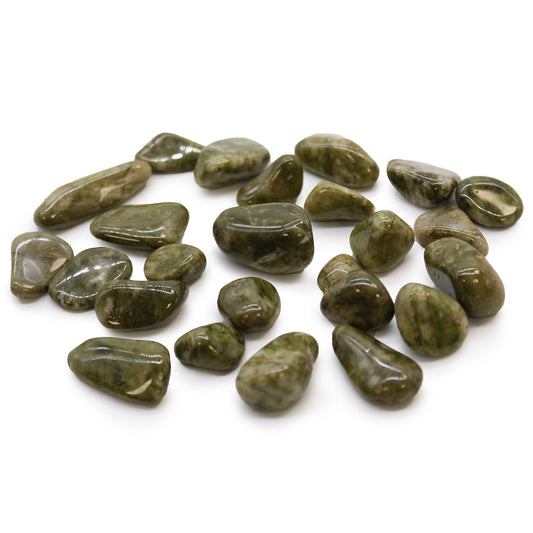 24x Small African Tumble Stones - Epidote Snowflake (SHOPIFI)