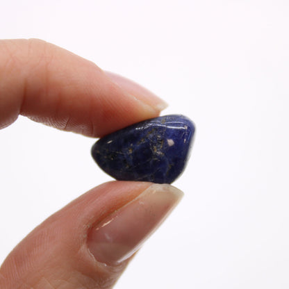 24x Small African Tumble Stones - Sodalite - Pure Blue (SHOPIFI)